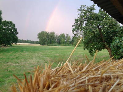 Bild 11 aus  Auszeithaus Brigittenhof