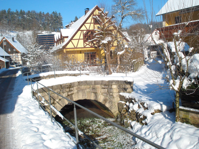 Bild 18 aus  Ferienhof Hohe - Familienfreundlicher Bio Bauernhof in idyllisch gelegenem Dorf.