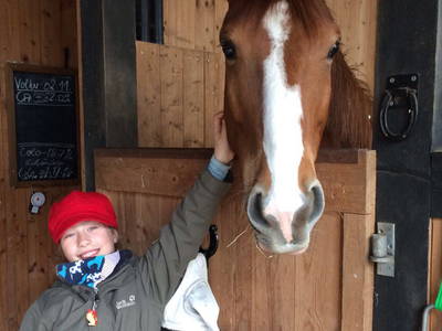 Bild 16 aus  Steinermühle