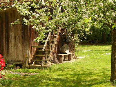 Bild 5 aus  Hof Limbeck