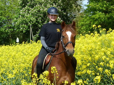 Bild 15 aus  Bernsteinreiter Barth