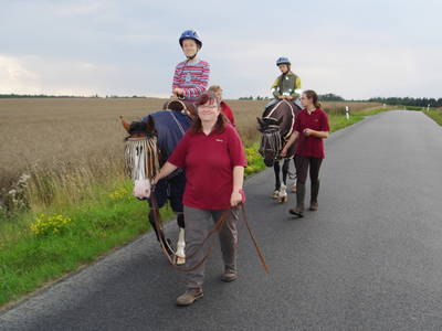 Bild 12 aus  Freizeit- und Ferienreiterhof Odenwald