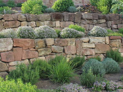 Bild 8 aus  Kräutergarten Klostermühle