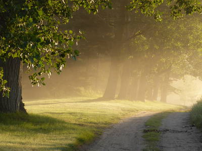 Bild 27 aus  Ferienhaus Gut Rattelvitz-INSEL RÜGEN
