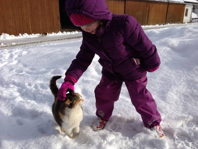 Bild 47 aus  Ederhof