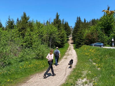 in der Natur unterwegs