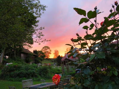 Bild 18 aus  „Hernis-Höfle“ Wohlfühlambiente im Elztal  5⭐️Sterneferien.