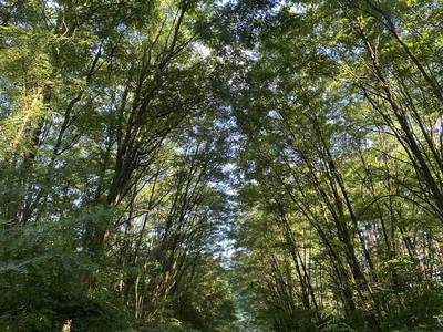 Bild 30 aus  LandSelection Rüsterhof