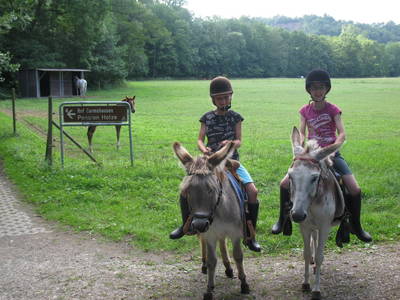 Bild 6 aus  Hof Carmshausen & Pension Hotze