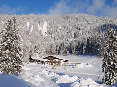 Bild 2 aus  Masererhof - Ferienbauernhof im Chiemgau