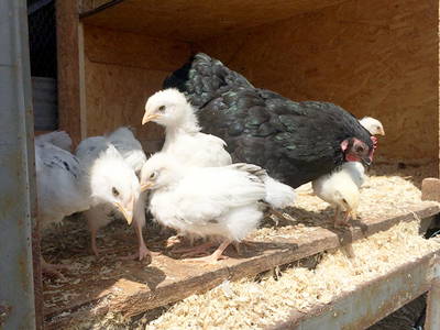 Bild 15 aus  An der See.de