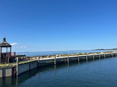 Bild 8 aus  Gut Buckhagen