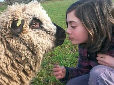 Bild 4 aus  Maierhof