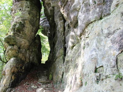 Bild 32 aus  Landgasthaus Hoffmann