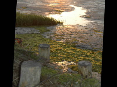 Abendstimmung am Wattenmeer