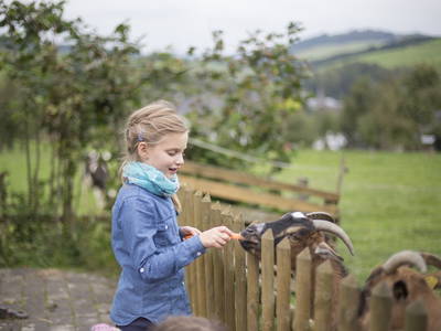 Bild 13 aus  Bauernhof Gördes