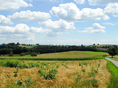 Bild 24 aus  Ferienhof Burghöfe