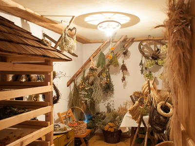 Bild 10 aus  Ferienhof Baur