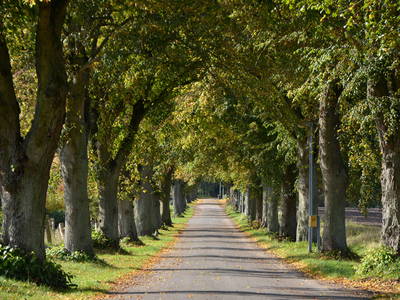 Bild 13 aus  Alte Ausspanne