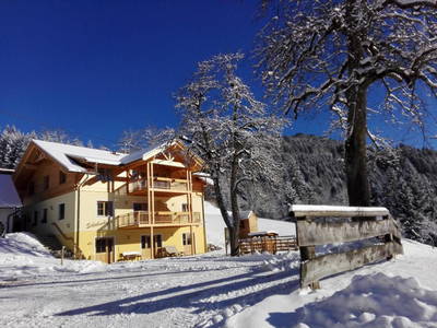 Bild 62 aus  Schabushof