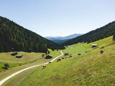 Bild 21 aus  Wieserhof