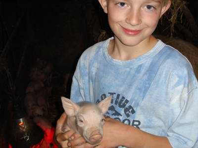 Bild 17 aus  Ferienhof Waldmann