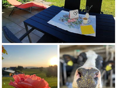 Bild 8 aus  Erholung - Natur pur - Urlaub auf dem Loyerhof