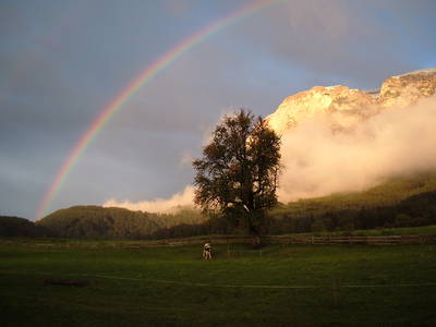 Bild 8 aus  Pliegermoar  - Adults Only