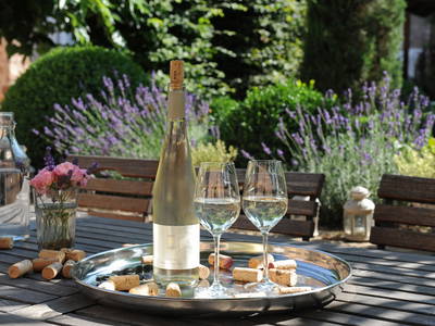 Bild 2 aus  Weingut & Gästehaus GiwerGreif