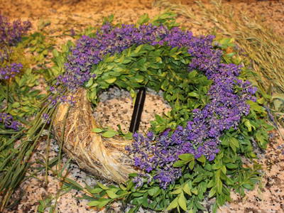 Bild 31 aus  Gut Sommereichen