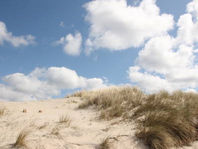 Bild 19 aus  Hof Muhs