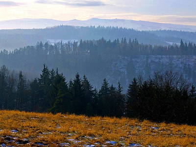 Bild 14 aus  Pokrzywnik 11