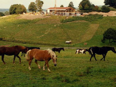 Bild 38 aus  Fenwick Farm