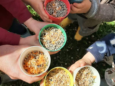 Bild 18 aus  Hof Wahls