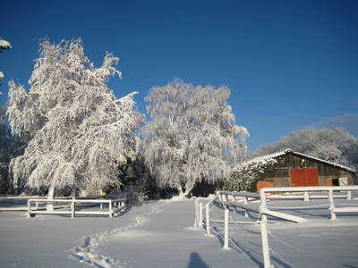 Bild 4 aus  Ferienhof-Marx