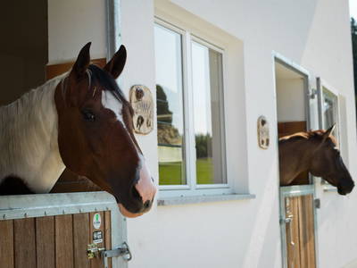 Bild 12 aus  Ferienhof Schoppa-Haisl