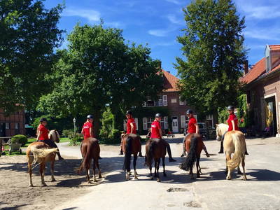 Bild 18 aus  Ponyhof Georgenbruch - Gutshof mit Ferienwohnungen, Pensionsstall und Reitschule