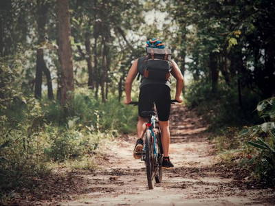 Bild 73 aus  Auf'm Reifnhof: Ihr Kreativhof am Simssee im Chiemgau