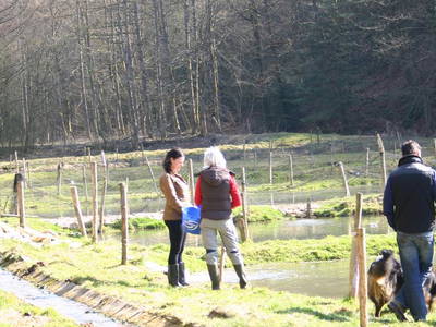 Bild 9 aus  Hollweck's Landoase