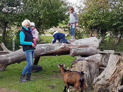 Bild 5 aus  Ferienhof Lorenzen