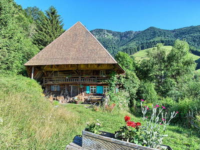 Bild 43 aus  Willkommen bei Familie Gutmann  auf dem Itzenwaldhof