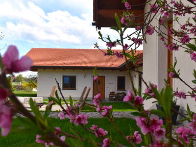 Bild 12 aus  Marksteinhof