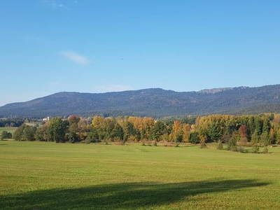 Bild 8 aus  Burgstallhof