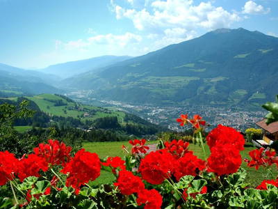 Bild 17 aus  Kircherhof