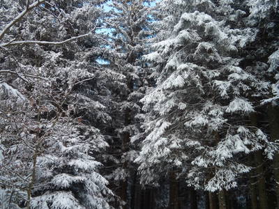 Winterwandern am Talhof