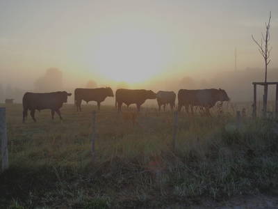 Bild 24 aus  FerienGut Dalwitz     www.feriengutdalwitz.de