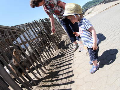Regina und Lena beim Ziegen füttern