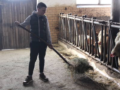 Bild 30 aus  Woferlhof