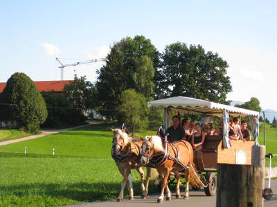Bild 13 aus  Fürstnerhof-Reiterhof