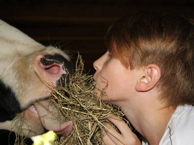 Bild 16 aus  Ferienbauernhof